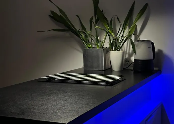 Апартаменты Sova сenter сity