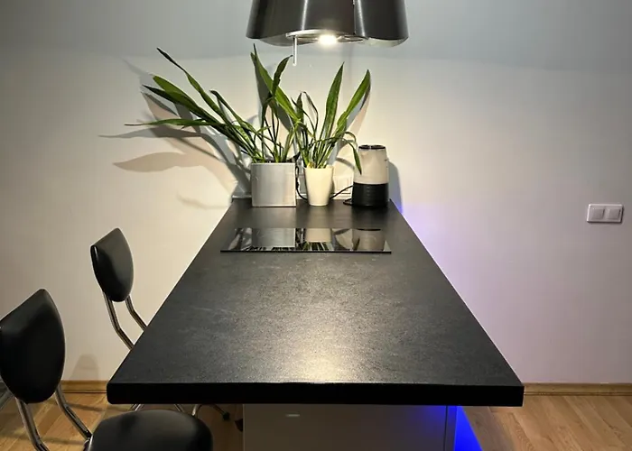 Sova сenter сity Leopoli